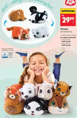 Biedronka Pluszak dwustronny oferta