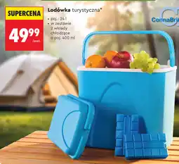 Biedronka Lodówka turystyczna ConnaBric oferta