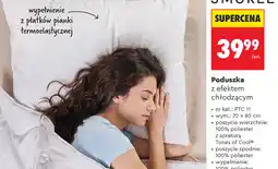 Biedronka Poduszka z efektem chłodzącym oferta