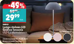 Biedronka SANICO Lampa stołowa LED Goldlux Tanzania oferta