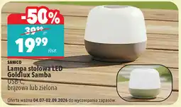 Biedronka SANICO Lampa stołowa LED Goldlux Samba oferta