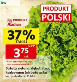 Auchan Sałata zielona oferta