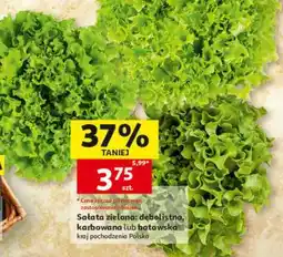 Auchan Sałata zielona oferta