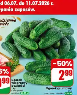 Dino Ogórek gruntowy oferta
