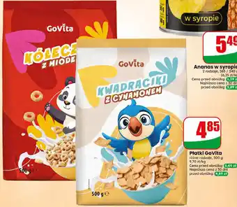 Dino Płatki GoVita oferta