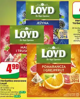 Dino Herbatka owocowa Loyd oferta
