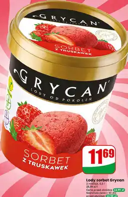 Dino Lody sorbet Grycan oferta