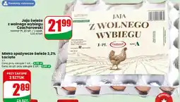 Dino Jaja świeże z wolnego wybiegu Czachorowski oferta
