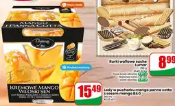 Dino Lody w pucharku mango panna cotta z sosem mango B&G oferta