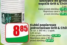 Dino Kubki papierowe jednorazowe Grill & Chill oferta