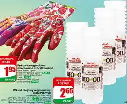 Dino Bio13 Płomyk Wkład olejowy regulowany oferta