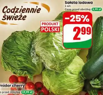 Dino Sałata lodowa oferta