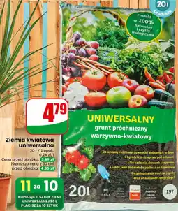 Dino Ziemia kwiatowa uniwersalna oferta