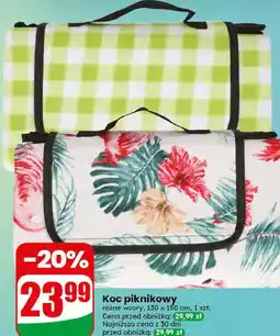 Dino Koc piknikowy oferta