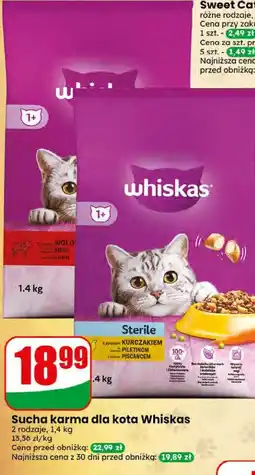 Dino Sucha karma dla kota Whiskas oferta