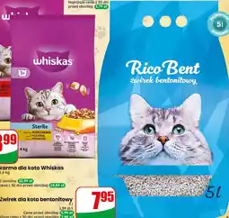 Dino Żwirek dla kota bentonitowy Rico Bent oferta