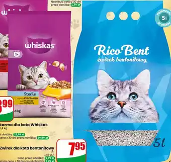Dino Żwirek dla kota bentonitowy Rico Bent oferta