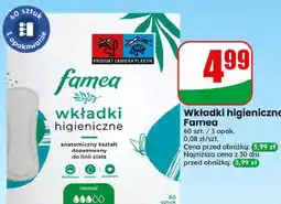 Dino Wkładki higieniczne Famea oferta