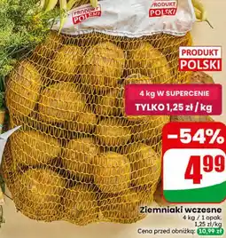 Dino Ziemniaki wczesne oferta