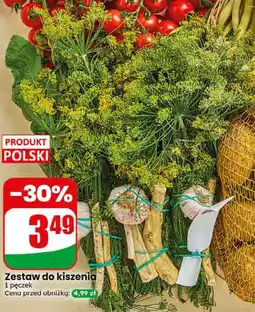 Dino Zestaw do kiszenia oferta