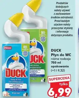 Kaufland Duck Płyn do WC oferta