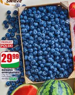 Dino Borówka amerykańska oferta