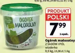Intermarche Ogórek małosolny Z Sadów i Pól oferta