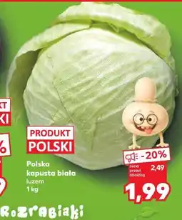 Kaufland Polska kapusta biała luzem oferta