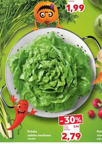 Kaufland Polska sałata masłowa sztuka oferta