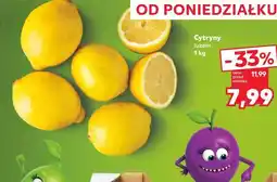 Kaufland Cytryny luzem oferta