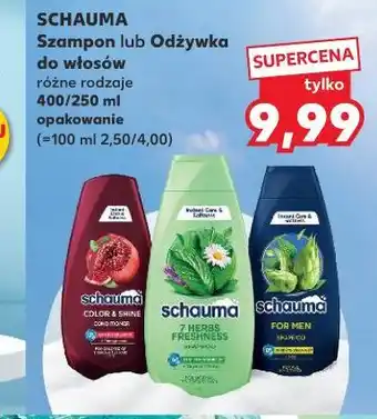 Kaufland Schauma Szampon lub Odżywka do włosów oferta