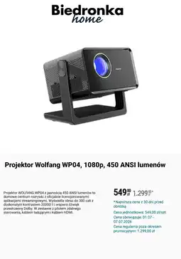 Biedronka Projektor Wolfang WP04 oferta