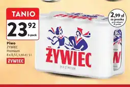 Intermarche Piwo Żywiec Premium 8-pak oferta