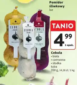 Intermarche Cebula czerwona tuba oferta