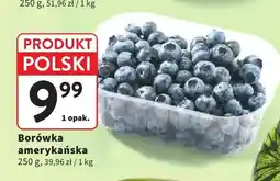 Intermarche Borówka amerykańska oferta