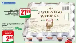 Dino Jaja świeże z wolnego wybiegu Czachorowski rozmiar M oferta
