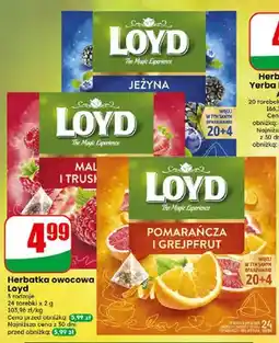 Dino Herbatka owocowa Loyd Jeżyna oferta