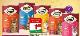 Dino Mokra karma dla kota Sweet Catty z wołowiną oferta