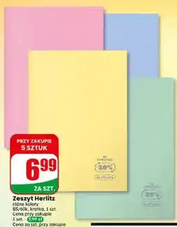 Dino Zeszyt Herlitz B5 60-kartkowy oferta