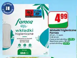 Dino Wkładki higieniczne Famea normal oferta