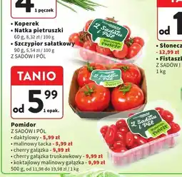 Intermarche Pomidor daktylowy Z Sadów I Pól oferta