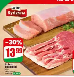 Dino Schab bez kości AGRO Rydzyna oferta