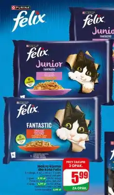 Dino Mokra karma dla kota Purina Felix Junior Fantastic oferta