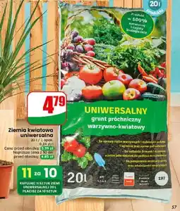 Dino Ziemia kwiatowa uniwersalna grunt próchniczny warzywno-kwiatowy oferta