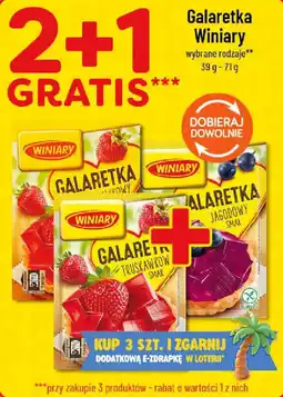 Polomarket Galaretki Winiary oferta