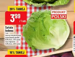 Polomarket Sałata lodowa oferta