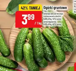 Polomarket Ogórki gruntowe oferta