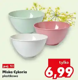 Kaufland Miska Cykoria plastikowa oferta