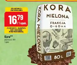 Polomarket Kora Mielona oferta