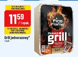 Polomarket Grill jednorazowy oferta